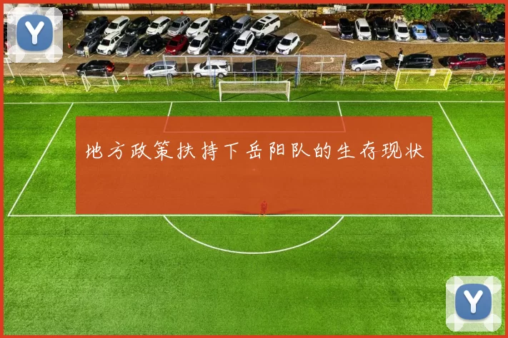 地方政策扶持下岳阳队的生存现状