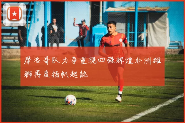 摩洛哥队力争重现四强辉煌非洲雄狮再度扬帆起航