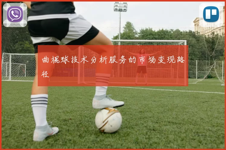 曲棍球技术分析服务的市场变现路径
