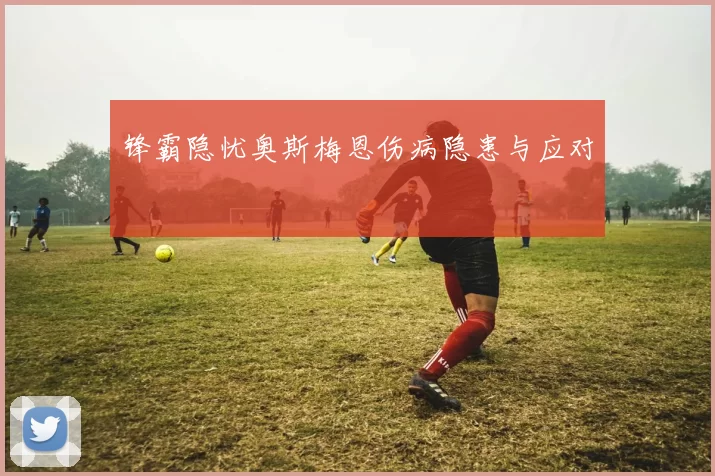 锋霸隐忧奥斯梅恩伤病隐患与应对