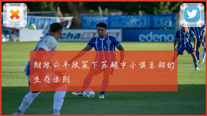 财政公平政策下苏超中小俱乐部的生存法则